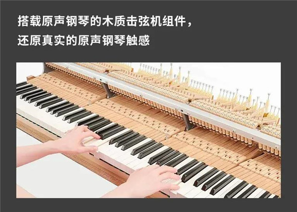 AvantGrand系列