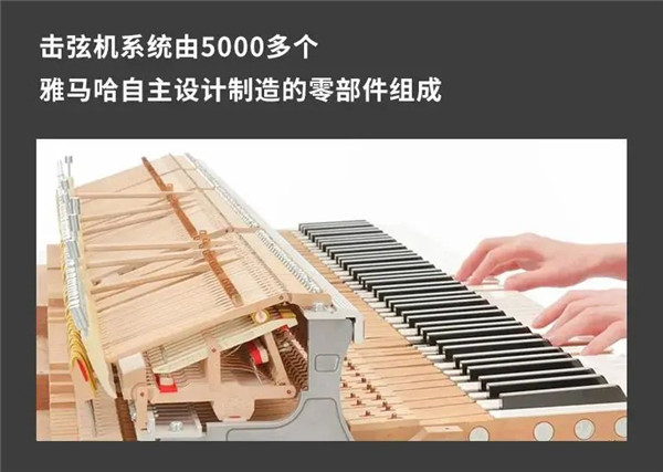 AvantGrand系列