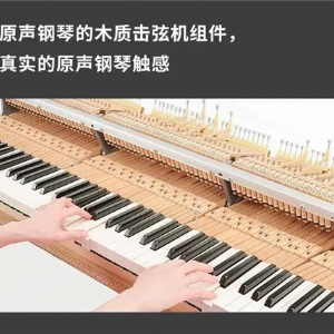 AvantGrand系列