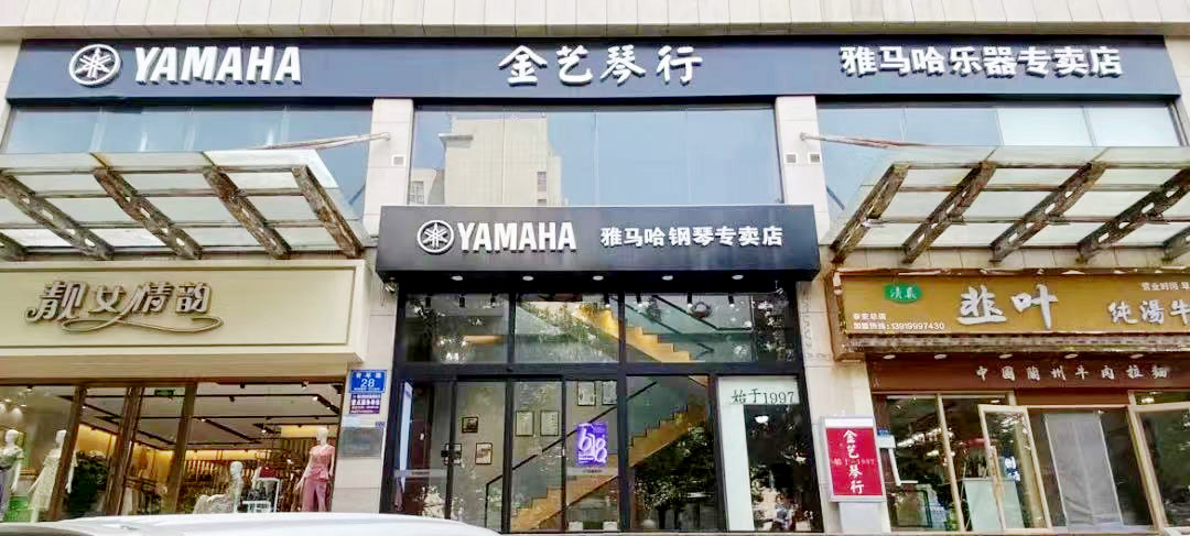 泰安市金艺乐器有限公司